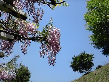 110505_133326.jpg