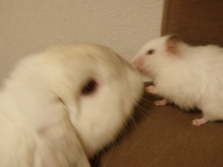 PB060123.jpg